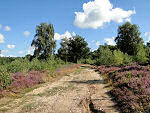 100ste Trage Tocht
