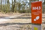 Nieuw: Gemarkeerde Groene Wissels