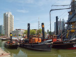 Wandeling van de maand: Groene Wissel Rotterdam