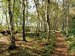 Wandelen in Drenthe