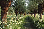 Lentewandelen met NS