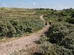 Populairste GPS-wandelingen