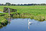 Wandelen in Het Groene Hart