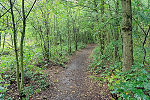 Lofzang op Groene Wissels