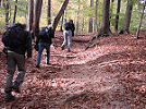 Wandeling van de maand