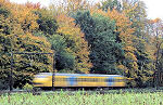 Herfstwandelen met NS