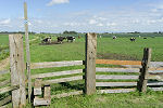 Wandelen in Noord-Holland