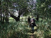 Wandelkalender