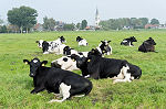 wandelroutes in Friesland wandelroutes in Friesland