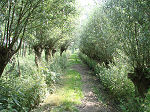 Wandelen met AD