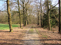 Wandelen op de Utrechtse Heuvelrug