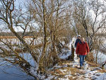 Wandelen in de winter
