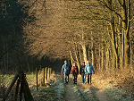 Wandeltoppers 2011 bekend
