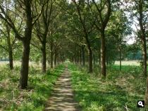 Landgoed Ennemaborgh