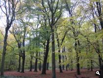 Groene Wissel Heeze