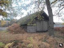 Mystieke sferen in de herfst