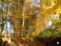 Groene Wissel Klarenbeek