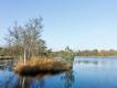 Groene Wissel Uffelte