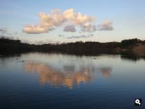 Hoogtepunten van de Kennemerduinen