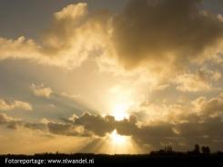 Polder de Hooge Weere