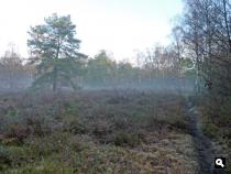 De Heide in Bennekom 