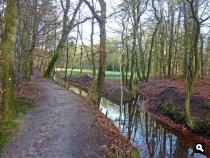 langs de Paradijsspreng 