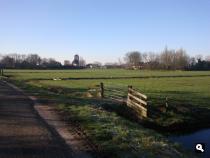 zicht op Spaarnwoude