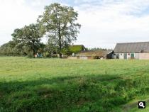 Groene Wissel Vroomshoop