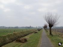 Groene Wissel Oudenbosch
