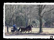 snelverkeer?