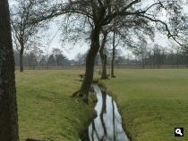 Veenwouden