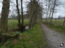 Veenwouden