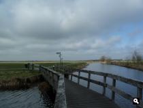 Veenwouden