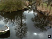 Veenwouden