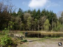 Groene Wissel Steenwijk