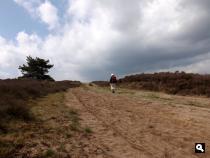 Trage Tocht Vierhouten Stakenberg