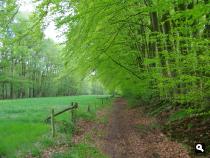 Trage Tocht Wiesel