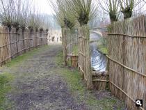 Biesbosch