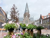 Groene Wissel Steenbergen (NB)