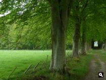 Oldeberkoop-Nieuwehorne