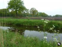 Oldeberkoop-Nieuwehorne