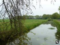 Oldeberkoop-Nieuwehorne