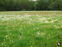 Trage Tocht Hellendoorn