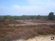 Drouwenerzand