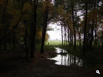 Herfstplaatje Anserdennen