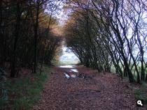 Herfstplaatje Anserdennen
