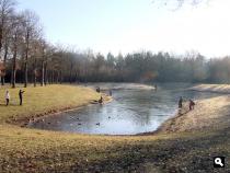 De Baarnse Bossen: De Grote Kom