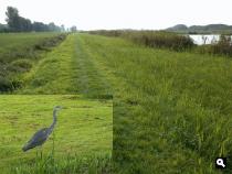 Langs de Boonervliet