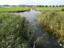 Krabbeplas