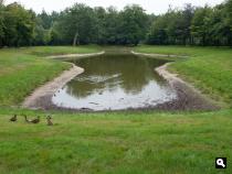 Vijver De Grote Kom in het Baarnse bos